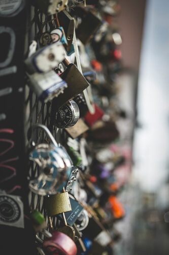 alex-perez-ajecJmFfjrA-unsplash.jpg
