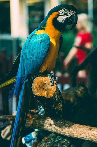 alex-perez-xQtscdPjSTo-unsplash.jpg