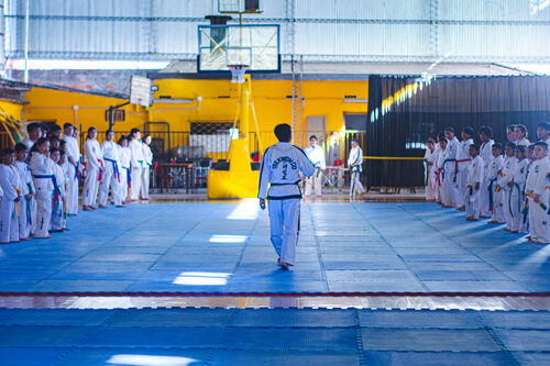 Tkd_1__1_.jpg
