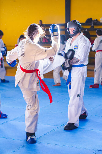 Tkd_1__2_.jpg