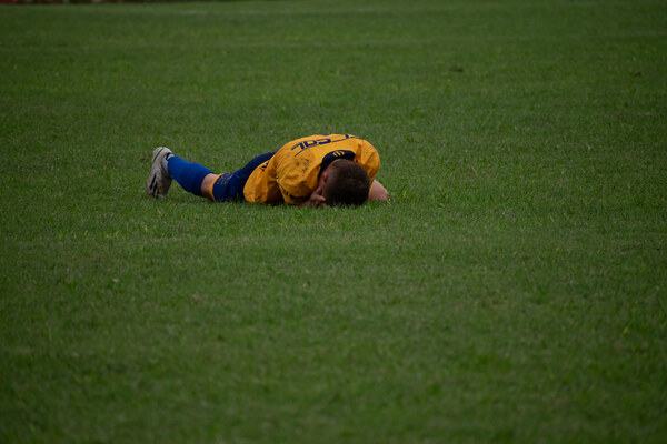 DSC_0713.jpg