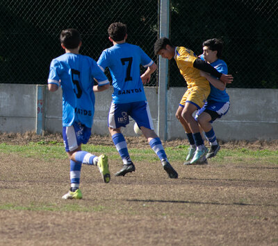 _DSC0155_-_copia.jpg