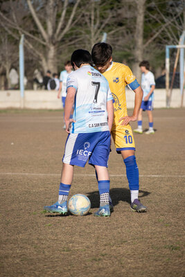 _DSC0479.jpg12