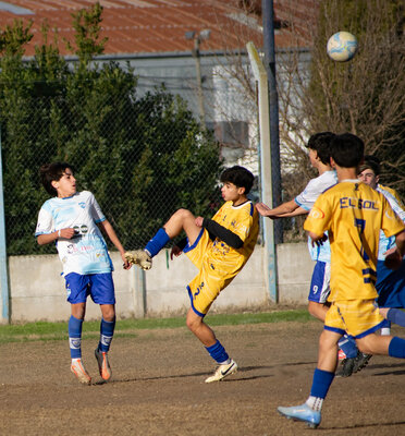 _DSC0486.jpg8