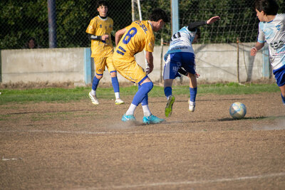 _DSC0490.jpg5