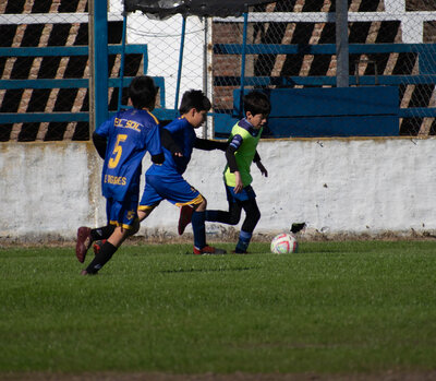 _DSC0196.jpg14