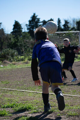 _DSC0381.jpg7
