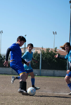 _DSC0486.jpg