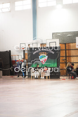 DSC03514.jpg20