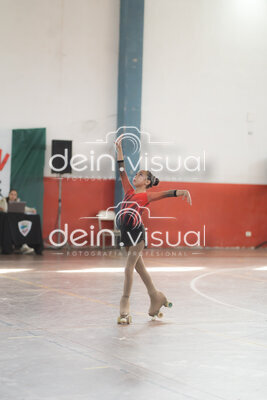 IPM - (2 CAMARAS)