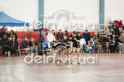 DSC07383.jpg8