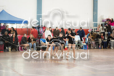 DSC07384.jpg7