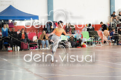 DSC08504.jpg38