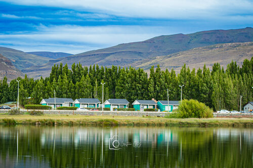 Calafate.jpg
