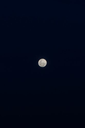 1000203712.jpg