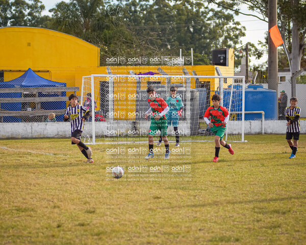 Torneo argentina cup | lunes