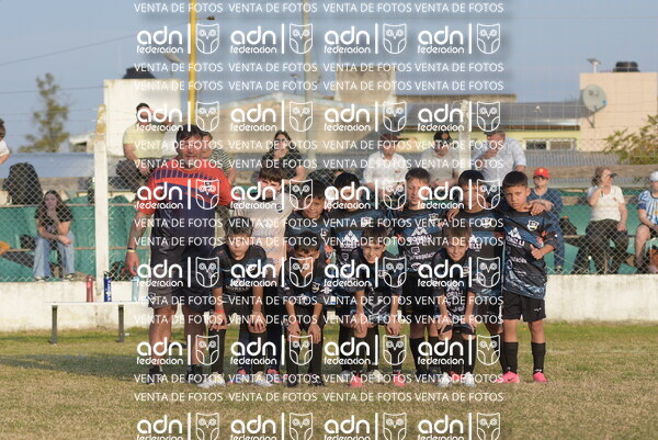 AIG__4_.JPG29