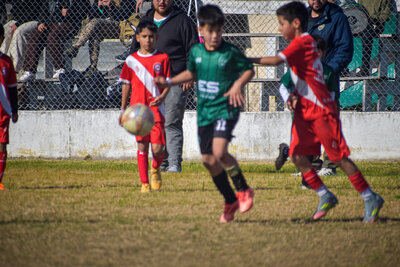 1094-martes_14_hs_-30.jpg9