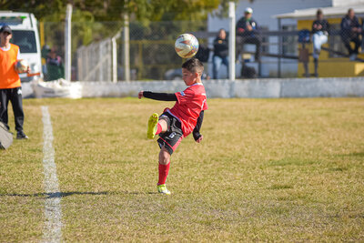 1146-martes_14_hs_-78.jpg37