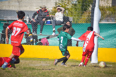 1147-martes_14_hs_-79.jpg36