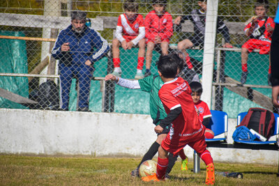 1160-martes_14_hs_-90.jpg23