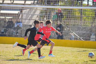 1164-martes_14_hs_-94.jpg19