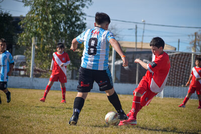 1231-martes_13_hs_-65.jpg
