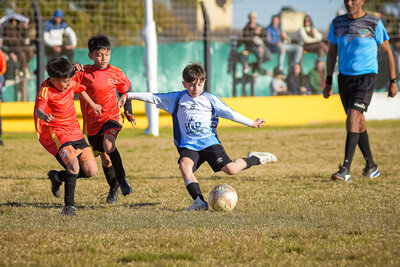 martes_16__hs_-90.jpg36