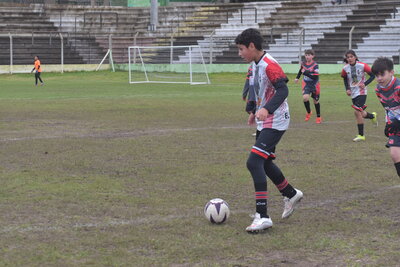 VIER_10_HS__100_.JPG29
