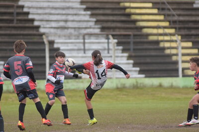 VIER_10_HS__28_.JPG39