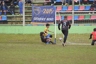VIER_10_HS__49_.JPG16