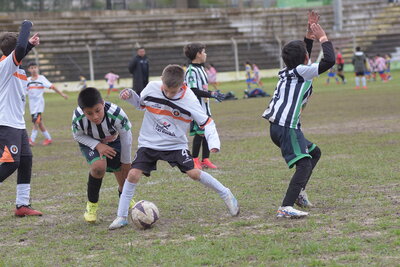 VIER_11_HS__28_.JPG30
