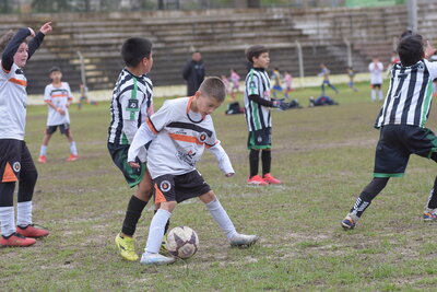 VIER_11_HS__29_.JPG29