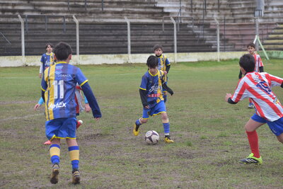 VIER_11_HS__36_.JPG21