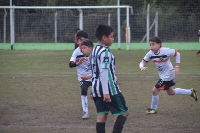 VIER_11_HS__53_.JPG2