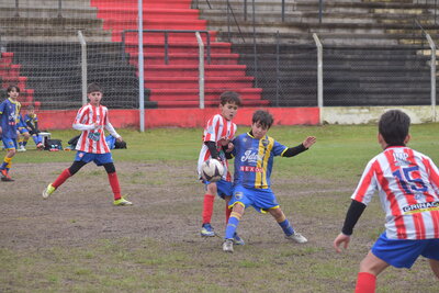 VIER_11_HS__78_.JPG15