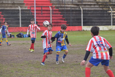 VIER_11_HS__79_.JPG14