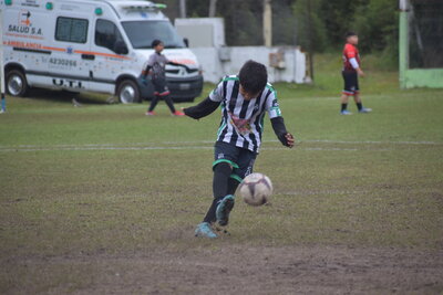 VIER_11_HS__94_.JPG37