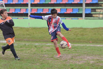 VIER_12_HS__12_.JPG25