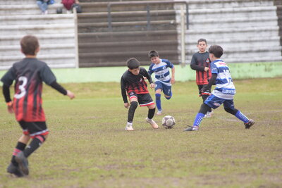 VIER_12_HS__33_.JPG2