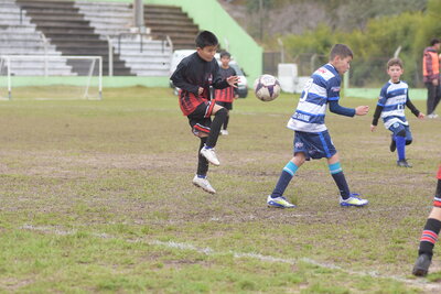 VIER_12_HS__38_.JPG37