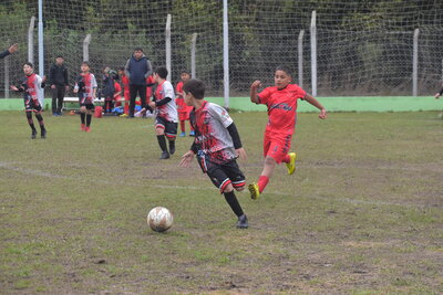 VIER_14_HS__63_.JPG31