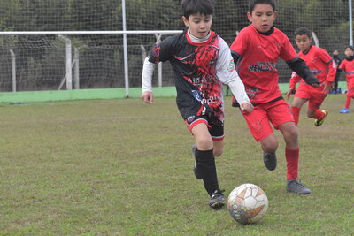 VIER_14_HS__82_.JPG10
