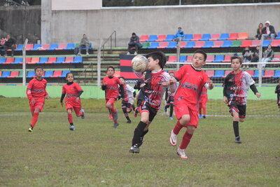 VIER_14_HS__87_.JPG5