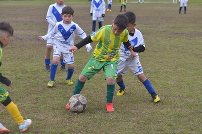 VIER_15_HS___120_.JPG40