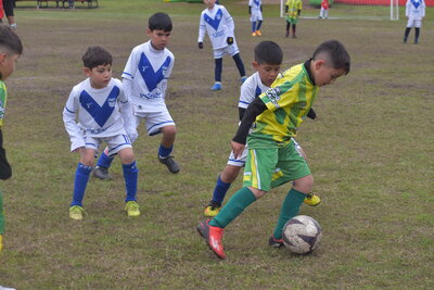 VIER_15_HS___123_.JPG37