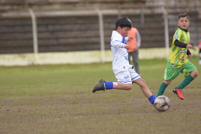 VIER_15_HS___13_.JPG30