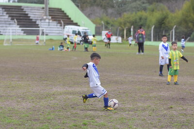 VIER_15_HS___18_.JPG15