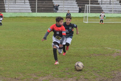 VIER_15_HS___211_.JPG19