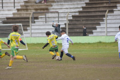 VIER_15_HS___57_.JPG29